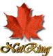 Join The Canadian Genealogy NetRing